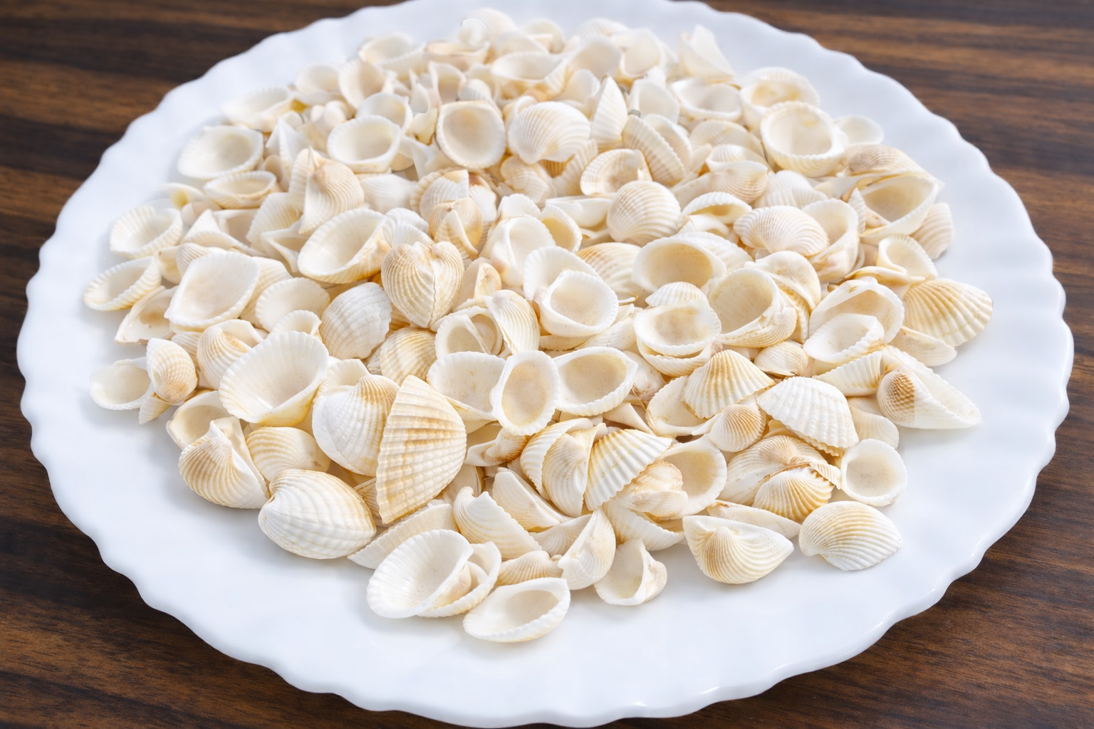 Off-white Mini Sea Shells for Aquarium &amp; Craft Shale Unplanted Substrate  (Brown, 0.2 kg)