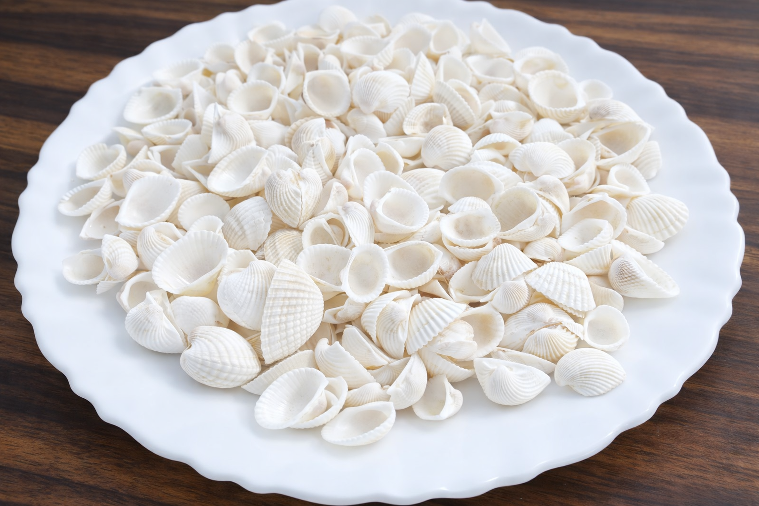 Off-white Mini Sea Shells for Aquarium &amp; Craft Shale Unplanted Substrate  (Brown, 0.2 kg)